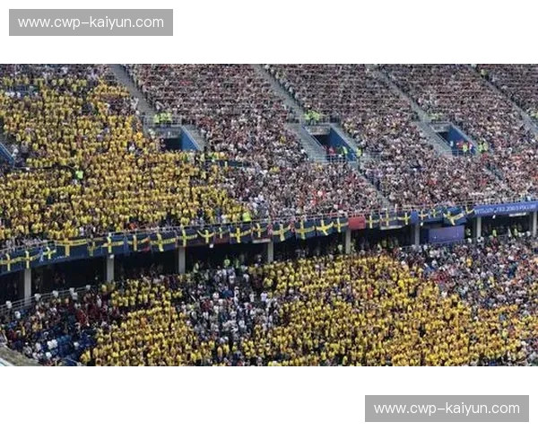 冰与火的博弈：当太极虎遇上北欧海盗，谁才是绿茵场上的终极导演？